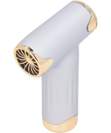 60W Electric Hair Dryer High Speed 4 Levels Wind Bladeless 1100mAh Battery Handheld Dust Blower (Silver) - Buy Online on GoSupps.com