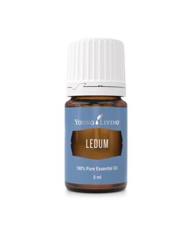 Young Living Ledum Premium Essential Oil - 5ml - Natural Meditation & Yoga Diffuser Scent - Spiritual Cleansing and Harmonizing Aroma - Prayer and Massage Blend