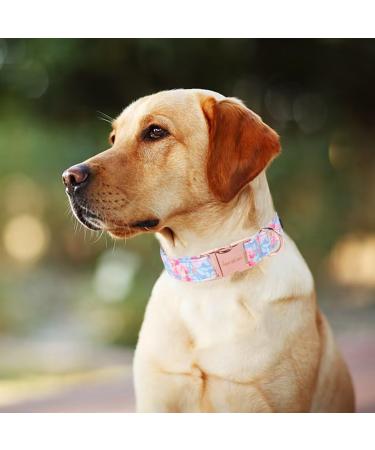 Buy Unique Style Paws Summer Dog Hales Band - Blue Collar Pink Flower Design for Small to Large Dogs | Perfect Gifts & Training Collars - International Shipping Available - Buy Online on GoSupps.com
