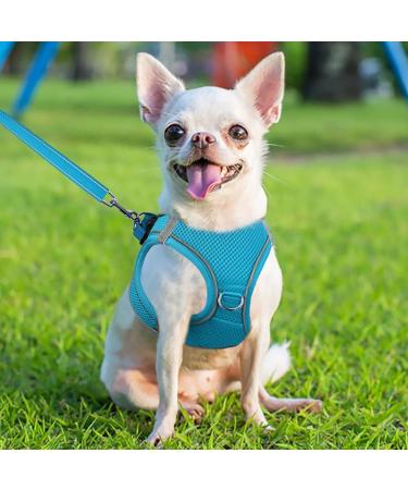 Joyal Dog Harness - Reflective Soft Padded Air-Mesh Chest Harness for Puppies & Small Dogs (XS 34-38cm) - Baby Blue - Buy Online on GoSupps.com
