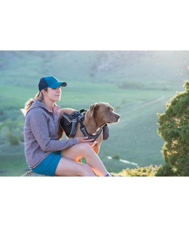 Terrain D.O.G. 07-9421-H2 Adventure Pack - Black/Gray - Large | Durable & Stylish Pack for Large Dogs - Buy Online on GoSupps.com