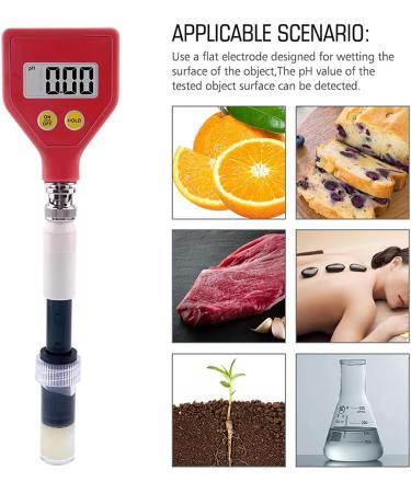 Skin PH Meter Digital PH Tester Changeable Data Hold with Glass Electrode Used for Water Food Cheese Milk Soil - Buy Online on GoSupps.com