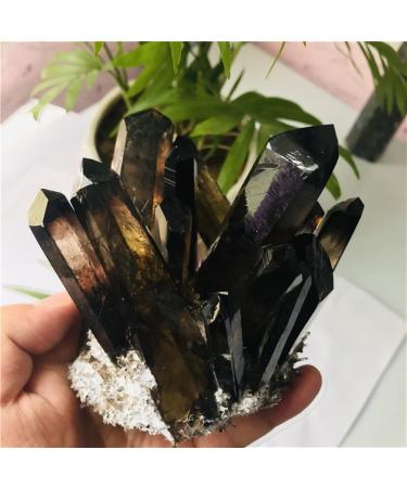 Specimen 400-500g Hot Quartz Cluster Natural Cairngorm Crystals Flowers Smoky Quartz Cluster JITZEGMD