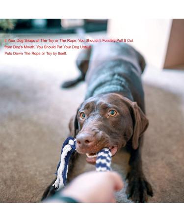 Buy PopetPop Interactive Dog Toys - Outdoor Training Fishing Pole Teaser for Large Dogs - Buy Online on GoSupps.com