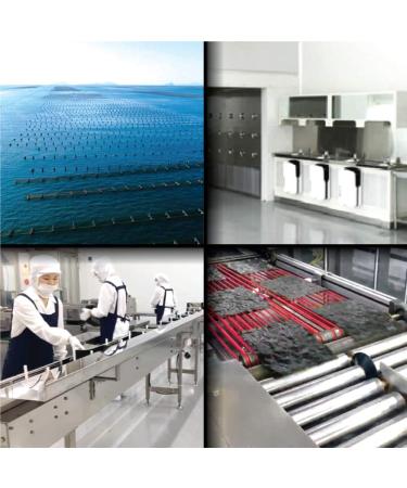 Blue Ocean Organic Sushi Nori Seaweed Half Cut 200 Sheets 250g - Yaki Roasted Rolls Wraps - Premium Quality Laver for Sushi Making (200 Count) - Buy Online on GoSupps.com