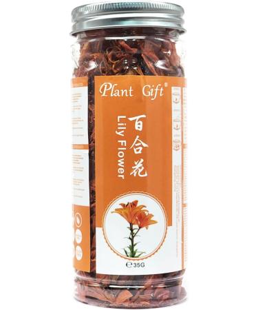PlantGift Fragrant Natural Lily Flowers 35G/1.23oz Organic Dried Lilium Flowers Health Tea Chinese Lily Tea - Buy Online on GoSupps.com