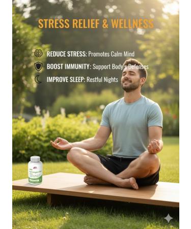 AROGLOBA Organic Ashwagandha Capsules with Shilajit Turmeric & Ginger 4-in-1 Ayurvedic Herbal Supplement | Adaptogenic Herbs for Natural Energy Vitality & Daily Wellness - Buy Online on GoSupps.com