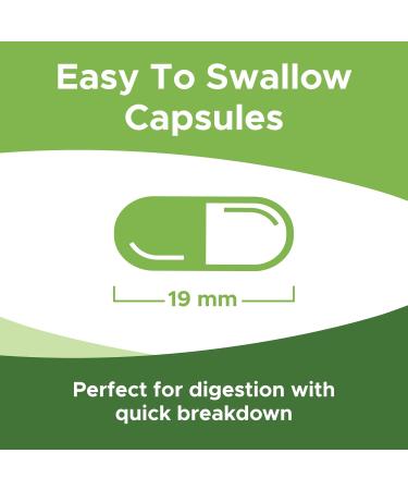 Immunity Support Supplement - Strengthens Body's Natural Immune System - Maintains Defense Against Inflamation Flu and Infection - Increases Energy Levels and Mood - Dr Nutrition 360 - Buy Online on GoSupps.com