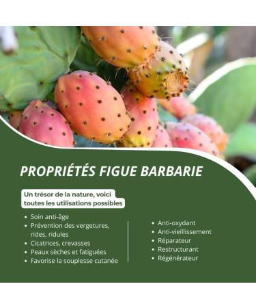 BEST ANTI-AGING OIL - Roll On 100% ORGANIC BARBARIE FIG SEED OIL Pure and Natural Cold Pressed Extra Virgin - Nourishing Skin Care Face Hair Vegan (15ml) - Buy Online on GoSupps.com