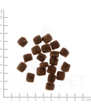 Primum Soft Duck & Potato Semi-Damp Dog Food - Grain-Free High Meat 1.5kg - Optimal Digestion - Buy Online on GoSupps.com
