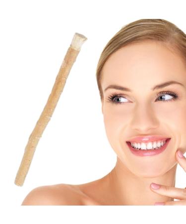 1/10 Pcs Miswak Stick - Tooth Twig Natural Toothbrush Sticks | Natural Toothbrushes for Teeth Cleaning Salvadora Persica Stick Effective Eastern Sewak Stick for Stronger Gum 0.5x1x12cm