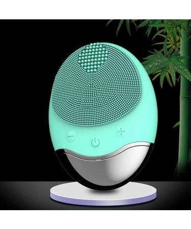SMSOM Facial Cleansing Brush Wireless Charging IPX7 Waterproof Face Brush Use for Exfoliating Massaging and Deep Cleansing (Color : Green) Charcoal Green - Buy Online on GoSupps.com