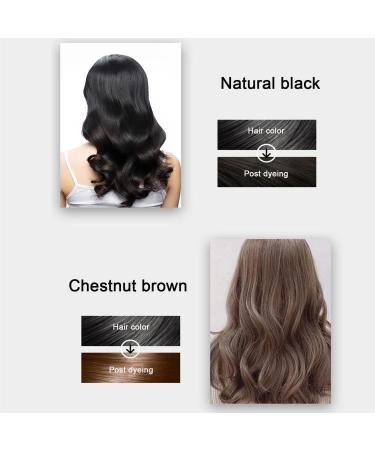 Anshka Bubble Plant Hair Coloring Shampoo Household Easy to Wash Hair Wax Color Cream Plant Bubble Hair Dye Shampoo Instant Natural Hair Coloring Shampoo for Women and Men Hair Washing Black - Buy Online on GoSupps.com