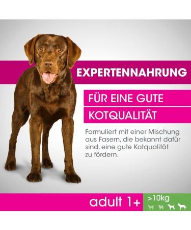 Mars Dog Adult 1 + M/L | 1.4 kg Dry Dog Food - Buy Online on GoSupps.com