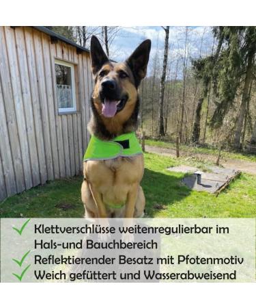 Reflective Dog Warning Vest - Robust Safety Jacket for Dogs | Neon Yellow Sizes Available - Buy Online on GoSupps.com