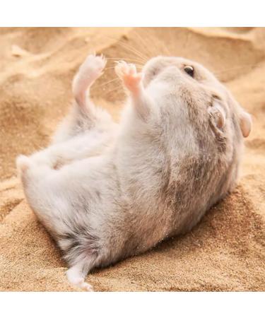 LISSION Hamster Bath Sand 2.2lb 1000g Litter Potty Sand Dust Free Desert Bath Sand for Hamster Chinchillas Guinea Pigs Gerbil Syrian Small Animals Beige Yellow 2.2 lb - Buy Online on GoSupps.com