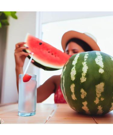 Watermelon Air Up Flavour Pods | Compatible With Air Up Bottle | 3x Pods for Refreshing Taste | 0 Cals | 0 Sugar - Buy Online on GoSupps.com