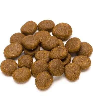 Buy Lifelong Adult Dog Food - Chicken & Rice Formula 5kg - Premium Dry Food for All Breeds - International Shipping Available - Buy Online on GoSupps.com