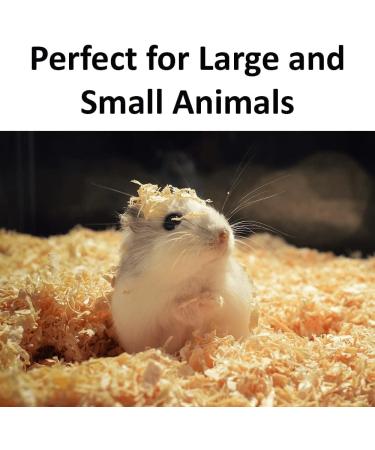 BlissLo Wood Shavings Pet Bedding | Super Absorbent Odour Free Sawdust for Rabbits Chinchillas Gerbil Mice Squirrels Rats Small Pets | Softwood Natural Pet Bedding Woodchips (1kg Small Pack) - Buy Online on GoSupps.com