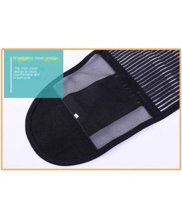 Back Support Back Brace Lumbar Support Lower Back Brace Double Pull Back Support Belt Breathable Posture Corrector Adjustable Back Support Belt(Pink 3X-Large) 3X-Large Pink - Buy Online on GoSupps.com