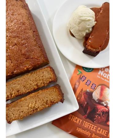 Creative Nature Vegan Cake Mixes Variety Pack - 6 Assorted Gluten Free Baking Mixes - Top 14 Allergen Free - Nut Free Dairy Free - 6 Count Pack - (1 Pack) - Buy Online on GoSupps.com