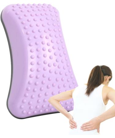 Raxove Backshifted Pillow - Ergonomic Lumbar Support & Inflatable Lower Back Relief | Posture Correction Equipment in Purple - Buy Online on GoSupps.com