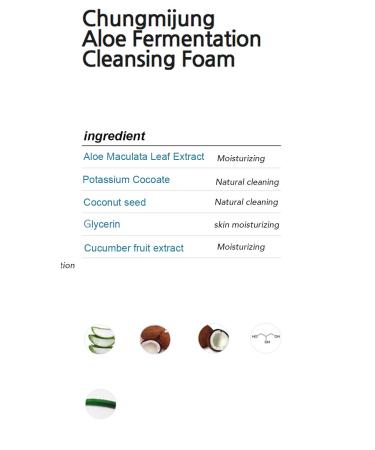 Chungmijung Aloe Maculata Cleansing Foam - Buy Online on GoSupps.com