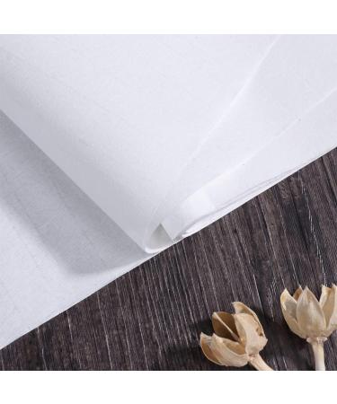 NUOBESTY 100 Sheets Rice Paper for Crafts Chinese Xuan Paper Craft Paper Writing Paper Japan 27c Advanced - Buy Online on GoSupps.com