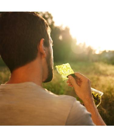Annie Chun's Sesame Roasted Seaweed Snacks - Organic, 0.35oz (12 Pack) - America's #1 Seaweed Snack - Buy Online on GoSupps.com