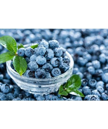 Bright sight - EYE VISION SUPPLEMENT - Clear image Vision enhancer Better focus Sharp lines Clearer vision Vision strength Vivid vision Focus sharp Focus clear 2 Bottle 120 Capsules - Buy Online on GoSupps.com