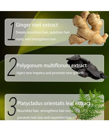 Shampooing explosif au gingembre et aux produits phytochimiques pour le contr le de la chute des cheveux extrait de plante de gingembre shampooing anti-chute de cheveux shampooing naturel bio 1 bo te - Buy Online on GoSupps.com