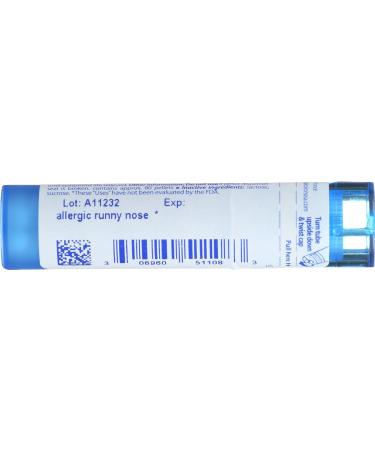 Buy BOIRON Natrum Muriaticum 6C - 80 CT | Fast International Shipping - Homeopathy Remedies - Buy Online on GoSupps.com