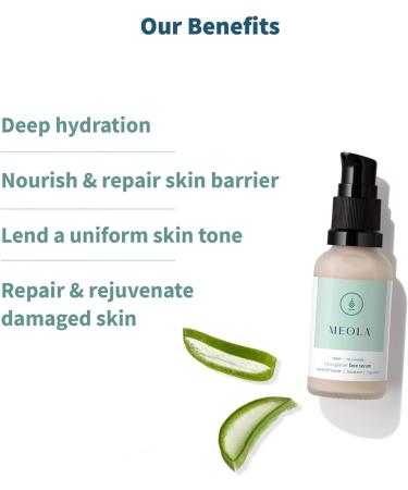 Meola Swiss Glacier Face Serum | Skin Repair Spot correction Deep Hydraton| Dry/Normal/Sensitive Skin |100% Vegan & Cruelty & Toxin Free | (30ml) (Pack of 1) - Buy Online on GoSupps.com