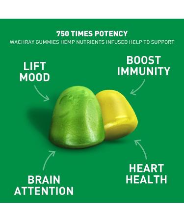 Organic Hemp Gummies 7,500,000 High Strength - 3 Pack, 240 Count - Potent Hemp Oil Infused Candy Supplements - Buy Online on GoSupps.com