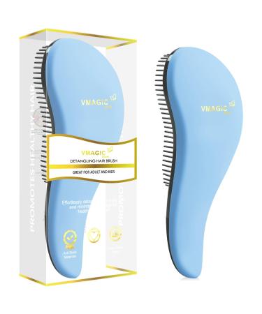 Detangling Brush - glide the Detangler Brush through Tangled hair - Best Brush/Comb for Women Girls Men & Boys - Use in Wet and Dry Hair (SkyBlue)