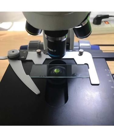 GREEN WATER FARM Concentrated Chlorella Powder for Feeding Crustaceans - Daphnia Moina Rotifer Fairy Shrimp and Other Live Fish Food - Buy Online on GoSupps.com