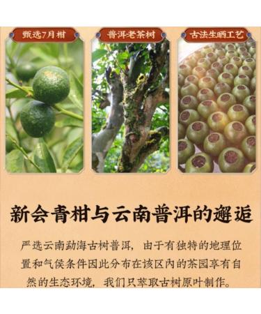 HQZM Xini XiaoQinggan Tangerine Puberop Tee Fruit scents And Vered Geer 250g Palace Tangerine - Buy Online on GoSupps.com