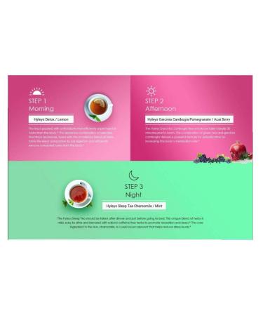 HYLEYS Tea 9-Pack Wellness 28-Day Detox Kit - 84 Tea Bags | GMO-Free, Gluten-Free, Dairy-Free, Sugar-Free, 100% Natural - Buy Online on GoSupps.com