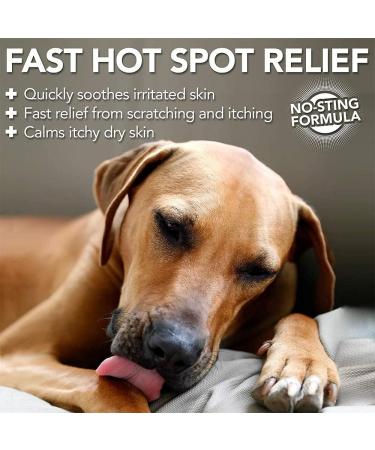 Vet's Best Hot Spot Relief Spray - 250ml | Soothes Dry Skin, Itching & Hot Spots | No-Sting & Alcohol-Free - Buy Online on GoSupps.com