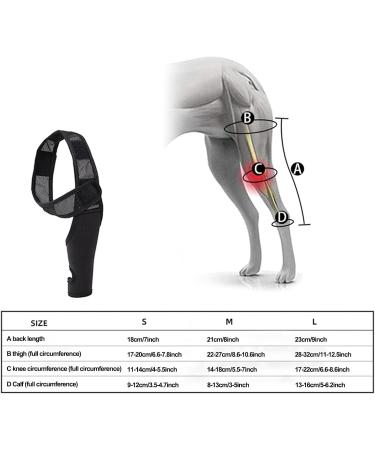 Hip Brace for Dogs - Flexible Hip Brace for Dogs Dog Hip Joint Brace for Torn ACL Patella Luxation Osteoarthritis Limping from Joint Hip Dysplasia Kot-au Black Medium - Buy Online on GoSupps.com