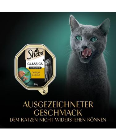 Sheba Classics in Pate - Grain-Free Cat Food with Poultry Cocktail - 22 x 85g Premium International Shipping - Buy Online on GoSupps.com