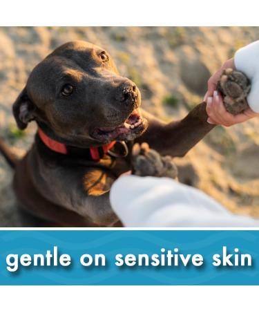 Oatmeal Aloe Vera Dog Shampoo for Dry Itchy Flaky Skin Gentle on Sensitive Skin & Hypoallergenic | Natural Soothing Anti Itch Anti Dandruff & Allergy Relief Dog Conditioner | Pikes Pouches (300ml) 300 ml (Pack of 1) - Buy Online on GoSupps.com