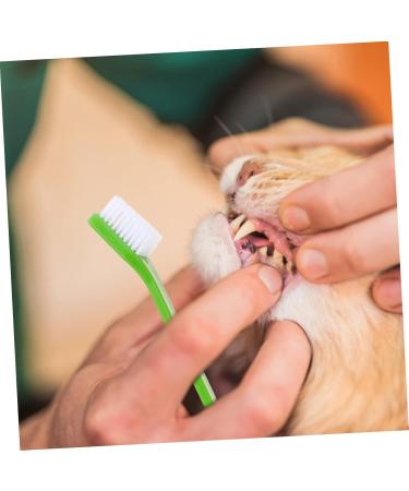 NOLITOY 20 pcs Oral Supplies for Dual-head Teeth Cleaning Pets Small Handheld Puppy Brush Pet Dog - Buy Online on GoSupps.com