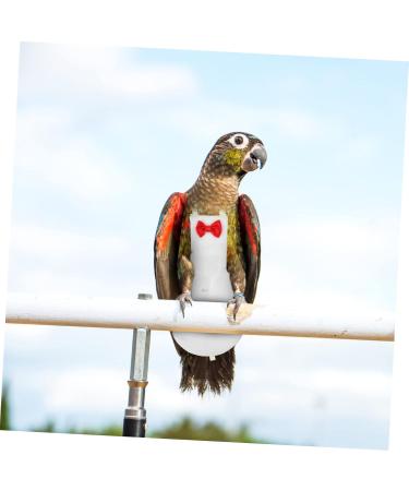 PopetPop Flying Bird Diapers - Protective Parrot & Pigeon Outfit | Sittich Diapers for Birds - 20x11cm Neoprene Suit - Buy Online on GoSupps.com