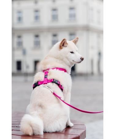 CHABA Medium Dog Harness - Anti-Pull Adjustable & Comfortable Step-In Design for Running - Classic Control Harness in Fuchsia & Pink - Buy Online on GoSupps.com