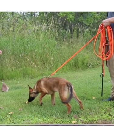 DogBone RealHide Deer Hide Drag for Tracking Dog Training - Buy Online on GoSupps.com
