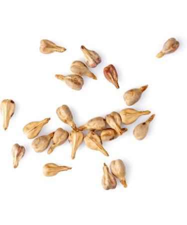 Buy Merlot Grapeseed Oil - Cosmetic Grade Non-Comedogenic & Deeply Hydrating - International Shipping Available - Buy Online on GoSupps.com