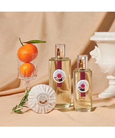 Roger Gallet Extra Vieille Jean Marie Farina Perfumed Soaps - 3.5 oz | Premium Fragrant Bath Bars - Buy Online on GoSupps.com