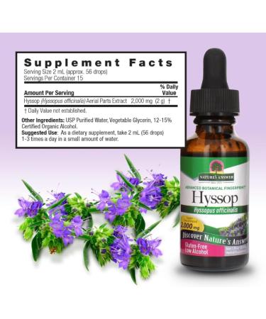 Bloomingdale IL 60108 Naturals Answer Hyssop Gluten Free Low Alcohol 2000mg 30 ml - Buy Online on GoSupps.com