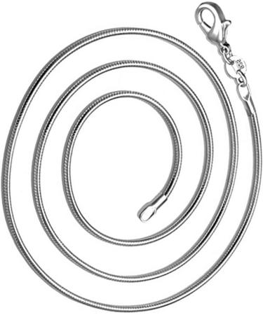 Holibanna Sterling Silver Necklace Silver Plated Necklace Lobster Clasp Chain Necklace European and American Accessories - Buy Online on GoSupps.com